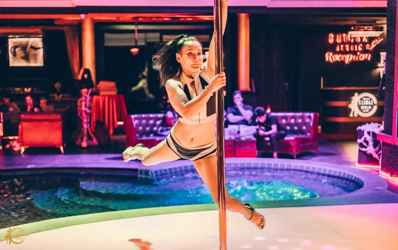 Professional Dancers - Image 20